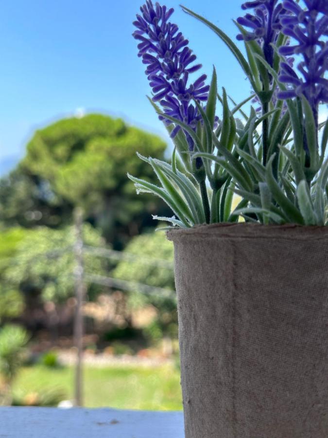 Olia Apartment Corfu  المظهر الخارجي الصورة