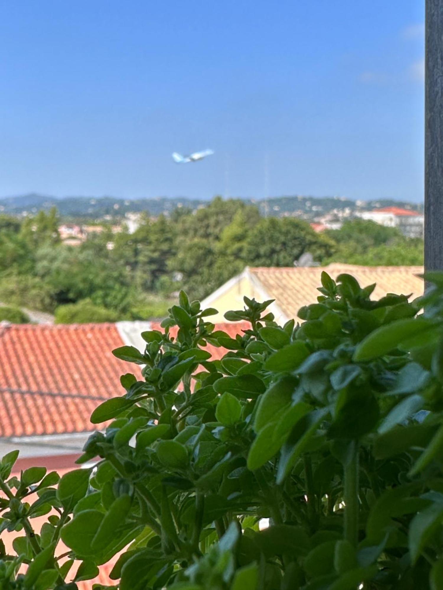 Olia Apartment Corfu  المظهر الخارجي الصورة